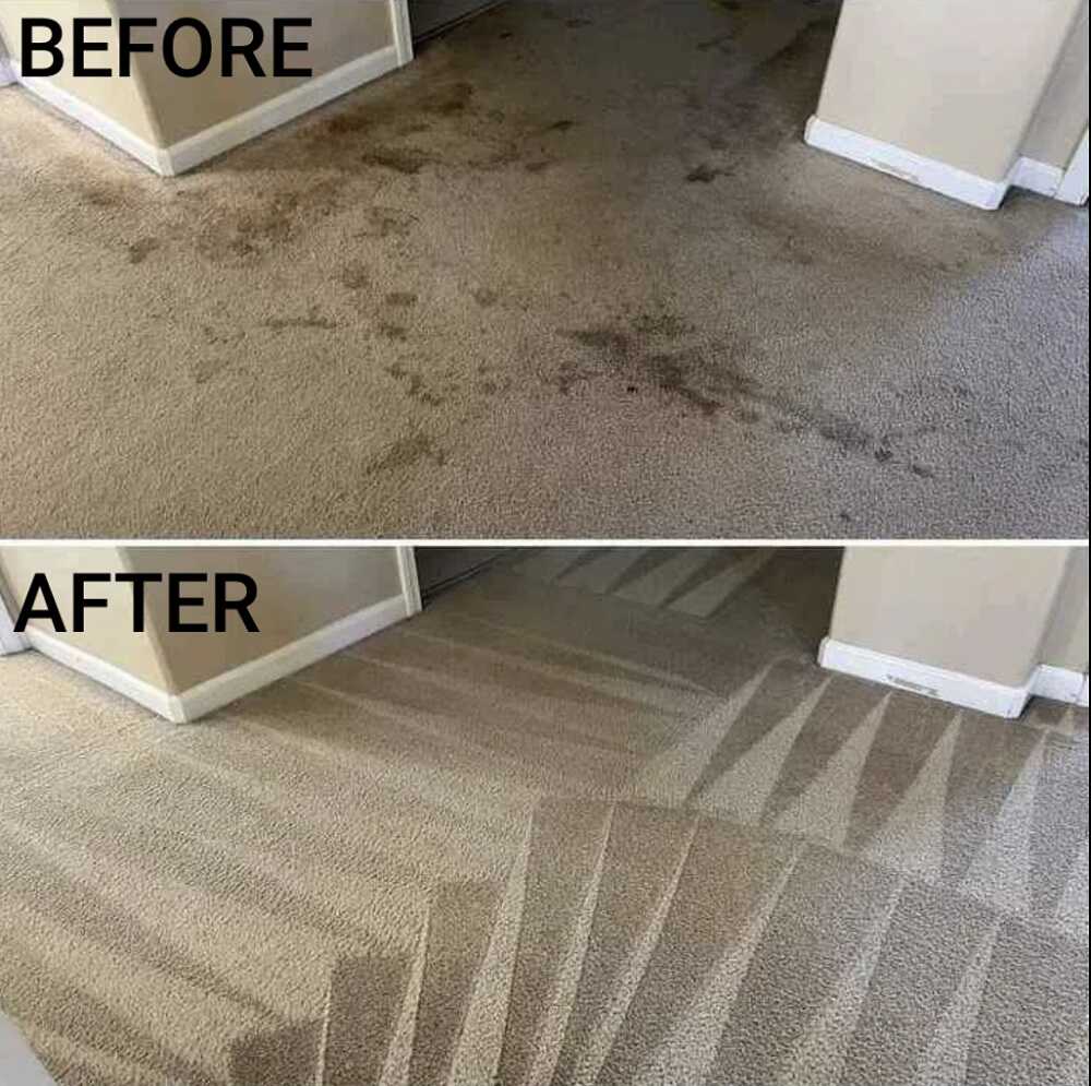 before and after carpet cleaning